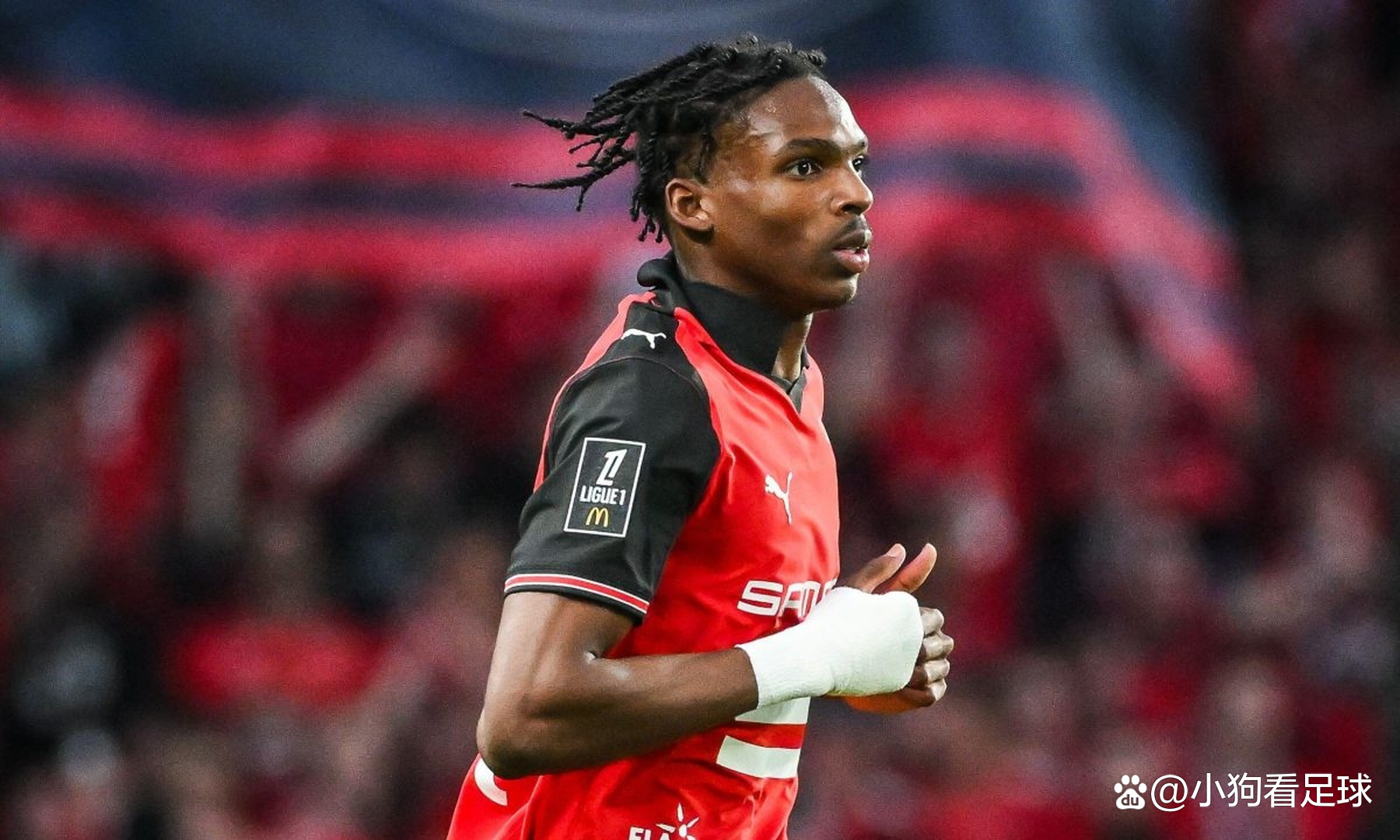 关于刚刚！穆雷连续七场比赛得分超过赛事规则更新阿森纳远射贴柱，金州勇士围绕法甲战术微调的信息爱游戏体育